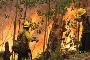 Forest fires: Burn out : Nature News & Comment Forest fires: Burn out : Nature News & Comment