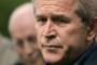 Rachel Maddow: How George W. Bush failed the GOP Rachel Maddow: How George W. Bush failed the GOP