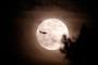 Today is Friday the 13th and a full moon. That won't happen again until 2049 Today is Friday the 13th and a full moon. That won't happen again until 2049