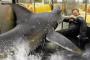 Sharknado 2: Ian Ziering, Jason Priestley, Other Stars React With Hilarious Tweets Sharknado 2: Ian Ziering, Jason Priestley, Other Stars React With Hilarious Tweets