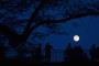 This Supermoon Hogs the Spotlight Sunday (Sorry, Perseid Meteors) This Supermoon Hogs the Spotlight Sunday (Sorry, Perseid Meteors)
