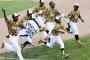 Chicago team heads to Little League World Series Chicago team heads to Little League World Series