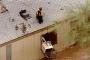 Flash Floods in Phoenix Strand Residents, Knock Out Power Flash Floods in Phoenix Strand Residents, Knock Out Power