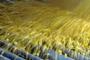 The fight over the Renewable Fuel Standard, explained The fight over the Renewable Fuel Standard, explained
