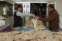 Special Report: For Islamic State, wheat season sows seeds of discontent Special Report: For Islamic State, wheat season sows seeds of discontent