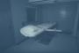 9 reasons the death penalty is on the decline in America 9 reasons the death penalty is on the decline in America