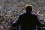 How to Build an Autocracy How to Build an Autocracy