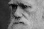 Darwin letters reveal emotional side Darwin letters reveal emotional side