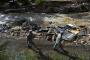 With shutdown, Colorado will pay costs of National Guard flood work With shutdown, Colorado will pay costs of National Guard flood work
