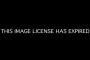 YouTube's Top Trending Videos Of 2012: Watch All 10 YouTube's Top Trending Videos Of 2012: Watch All 10