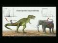 Lets Test Them: Evolution vs. Creationism Lets Test Them: Evolution vs. Creationism