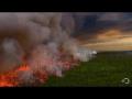 Filming a Raging Forest Fire Filming a Raging Forest Fire