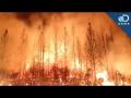Should We Control Wildfires? Should We Control Wildfires?