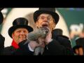 Groundhog Day 2014: Punxsutawney Phil Sees Shadow Groundhog Day 2014: Punxsutawney Phil Sees Shadow