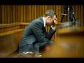 Oscar Pistorius murder trial: The key witness evidence Oscar Pistorius murder trial: The key witness evidence