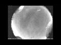 Lyrid Meteors Rain Over Earth, NASA Cameras Watch Lyrid Meteors Rain Over Earth, NASA Cameras Watch