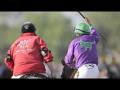 California Chrome on Triple Crown Trail California Chrome on Triple Crown Trail