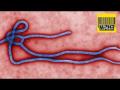 What is Ebola? What is Ebola?