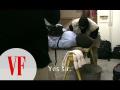 Watch Christopher Hitchens Get Waterboarded (VANITY FAIR) Watch Christopher Hitchens Get Waterboarded (VANITY FAIR)